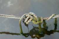 Landvast met knoop.