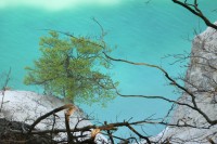 Het prachtig groen-blauwe zeewater, gezien vanaf de krijtrotsen van Møns Klint