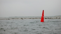 De oostkop van Norderney ligt altijd vol met zeehonden.